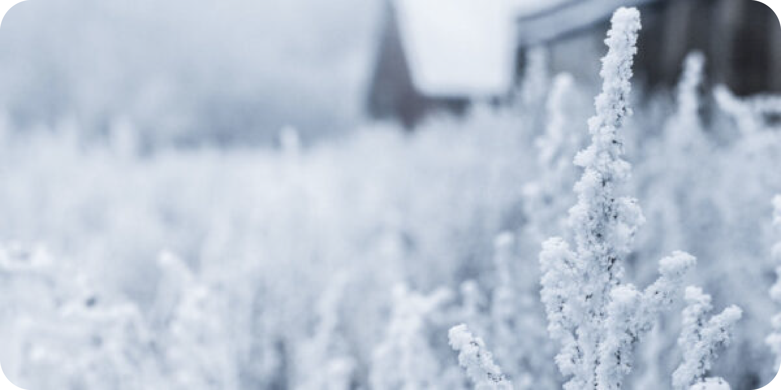 Winterschilder 10% korting